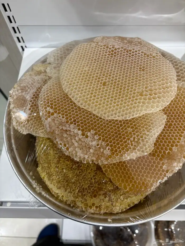 عسل سدر وعسل طلح وعسل سمر 2