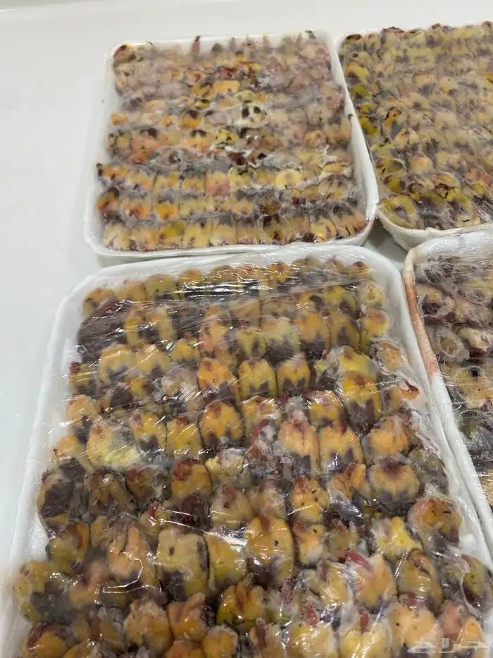 دخال نضيف شحم 2