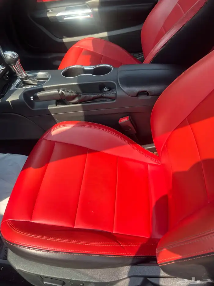 موستنق 2019 gt v8 12