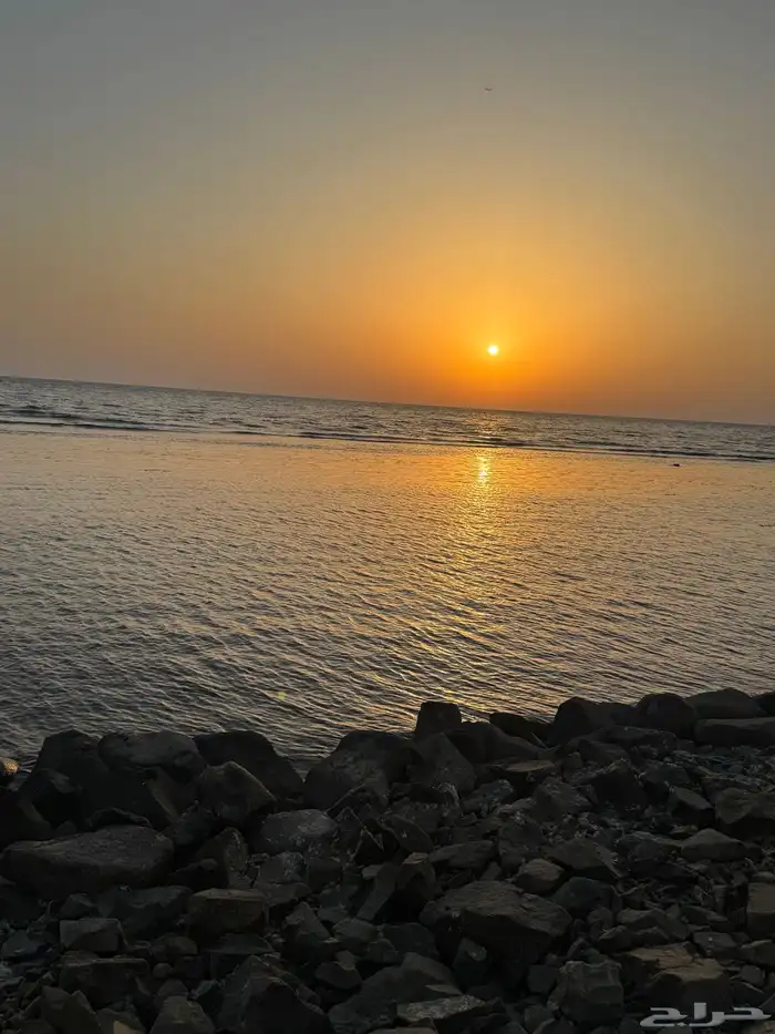 آحتاج شقة غرفتين في حي السنابل او الأجاويد 0