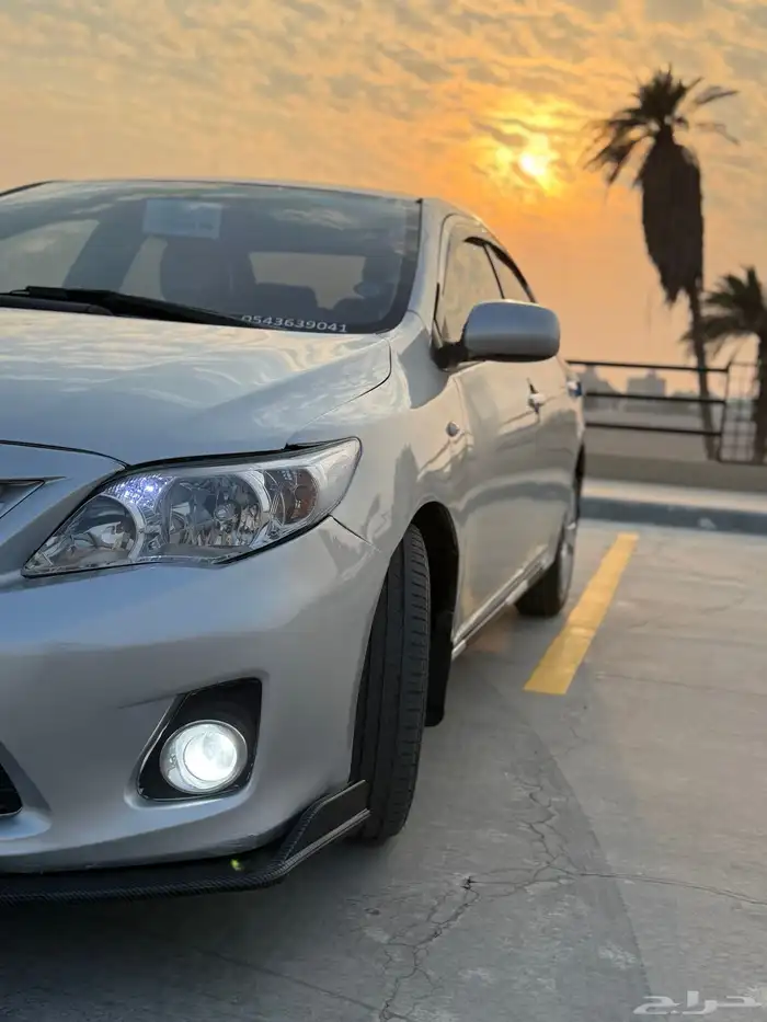 كوريلا 2013 11