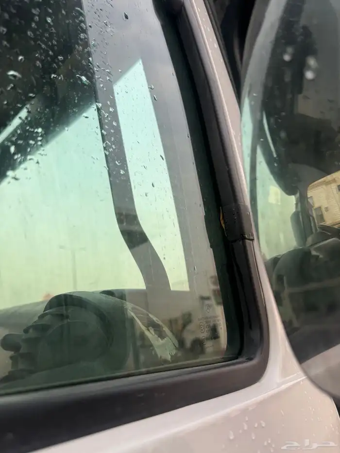 راس اكتروس سقس جفالي 2019 على السوم 2