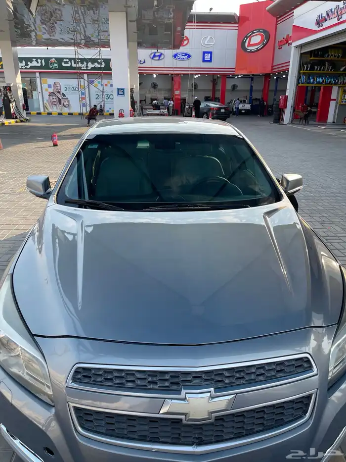 مالبيو 2013 15