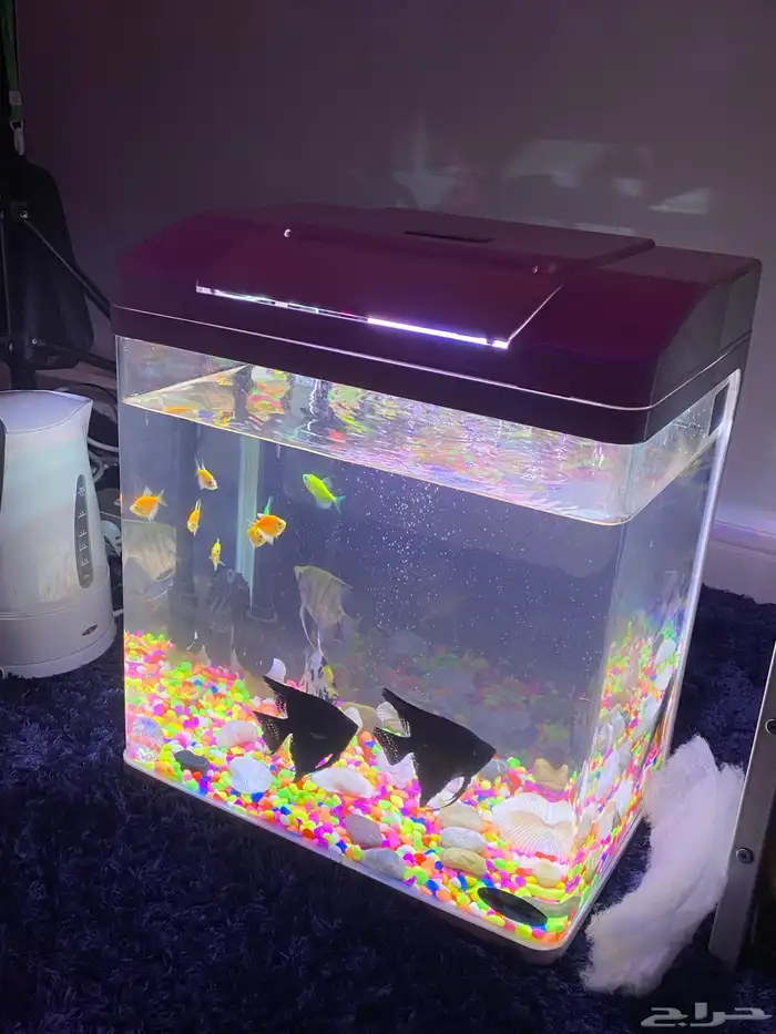 حوض سمك جميل جدا 1