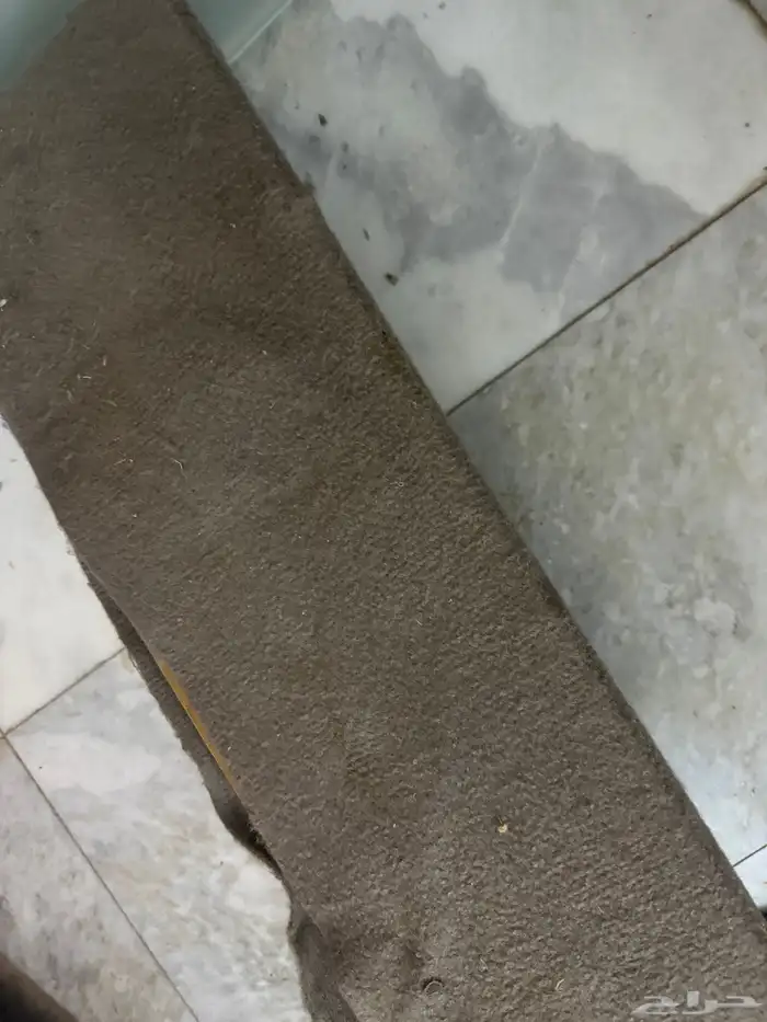 سماعات بينور بصندوق كانو في جيب ربع 5