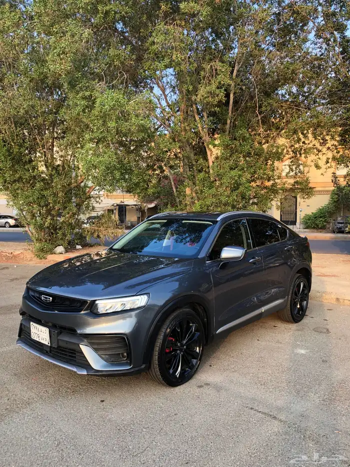 جيلي توجيلا 21 فل الفل 0