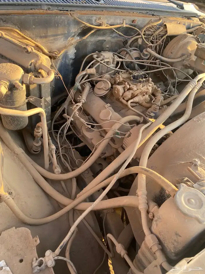 صالون شفرليه 12