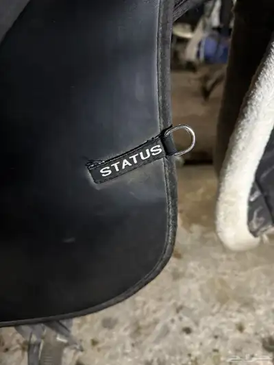 سرج ستيتس index