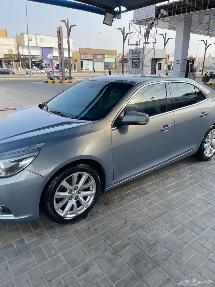 مالبيو 2013 13