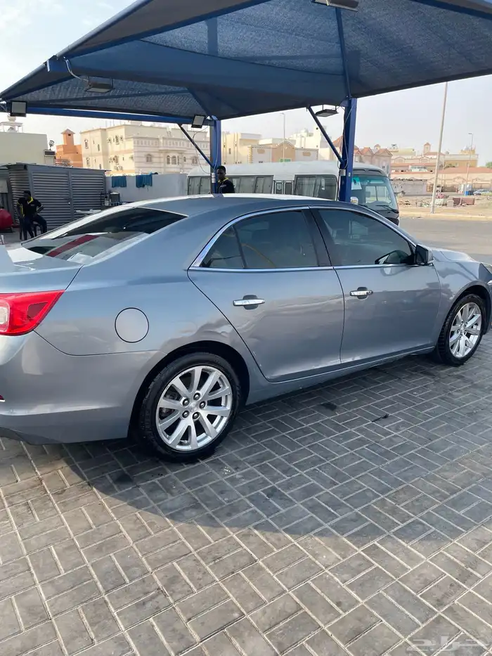 مالبيو 2013 11