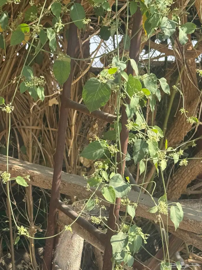 قاعدت خزان كبيره وقويه 3