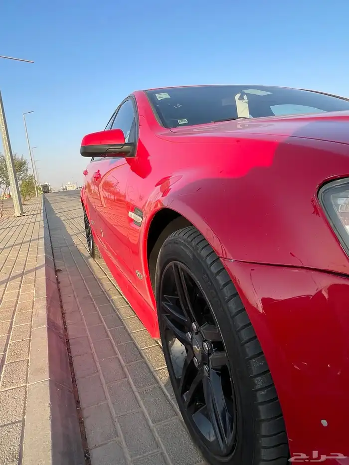 لومينا 2011 18