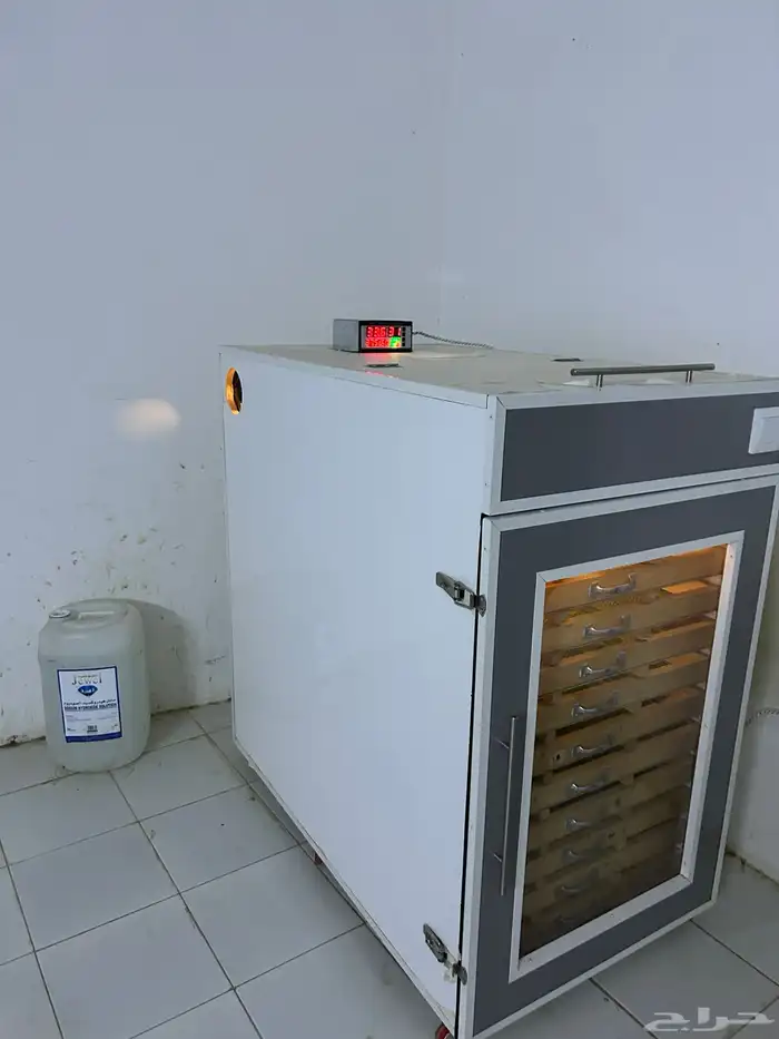 فقاسه أخت الجديده 2