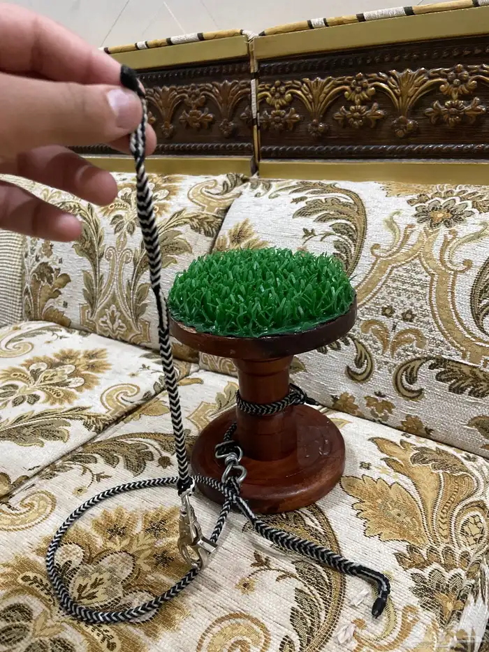 وكر حق باشق و بكه جديد و معه حق الدس 1