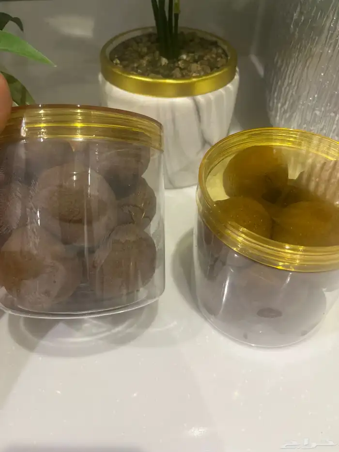 دلكه سودانيه اصليه وارد السودان 1