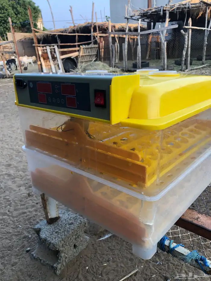 للبيع فقاسه 96 اوتماتيك 1