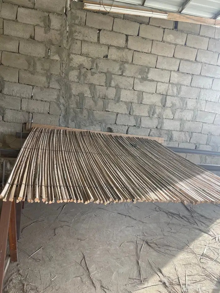 سعف نخل للحدائق والزينه 4