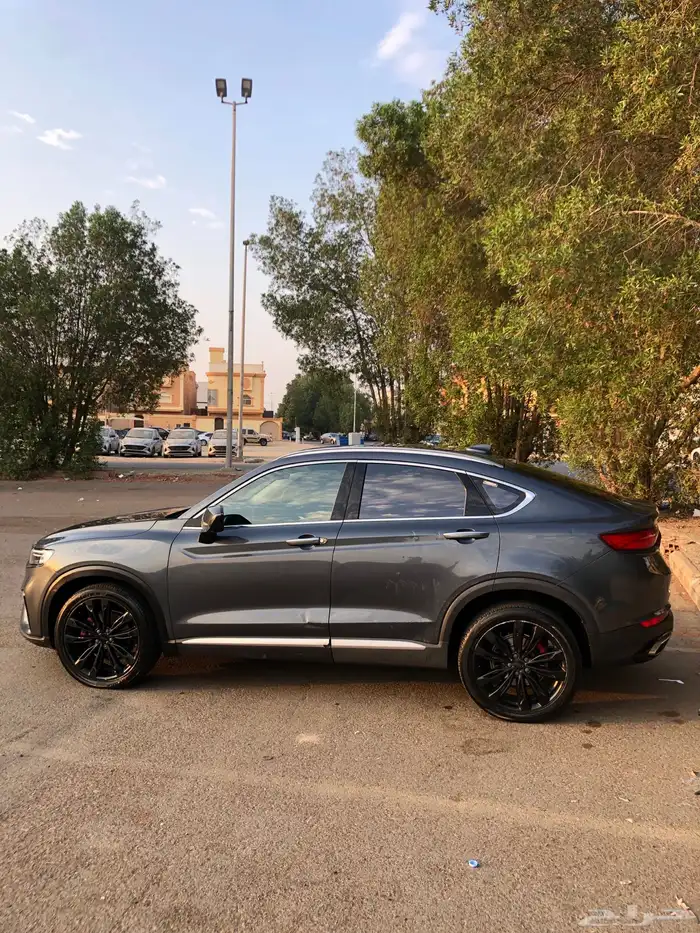 جيلي توجيلا 21 فل الفل 4