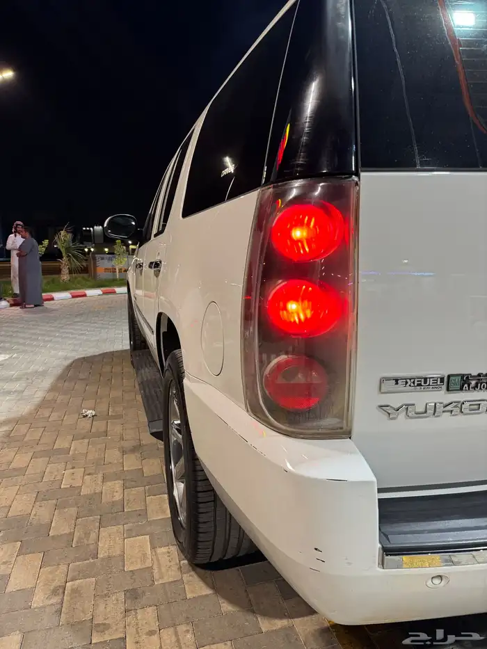 يوكن دينالي 2009 4