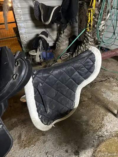 سرج ستيتس index