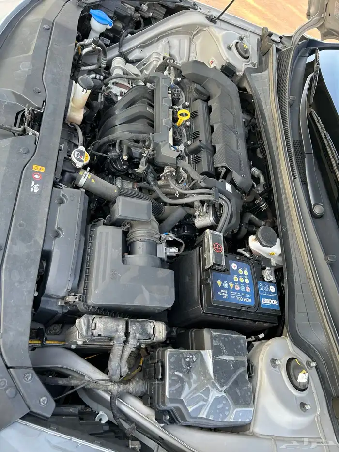 افانتي 2021 بطاقه جمركيه وارد كوريا بدي وكاله 28