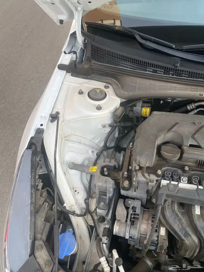 النترا أفانتي 7