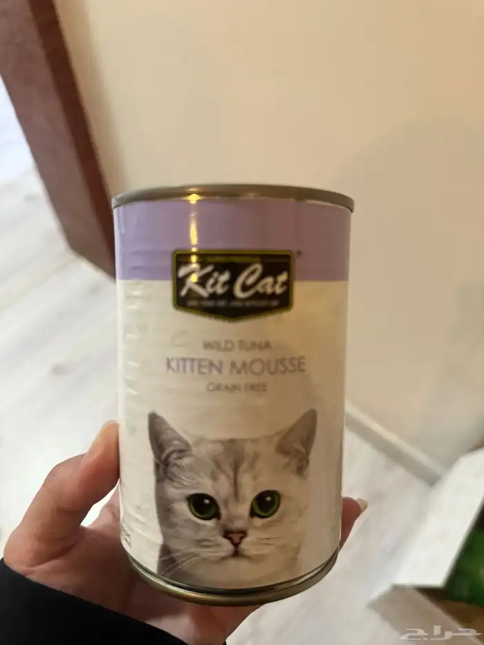 مستلزمات قطط 5