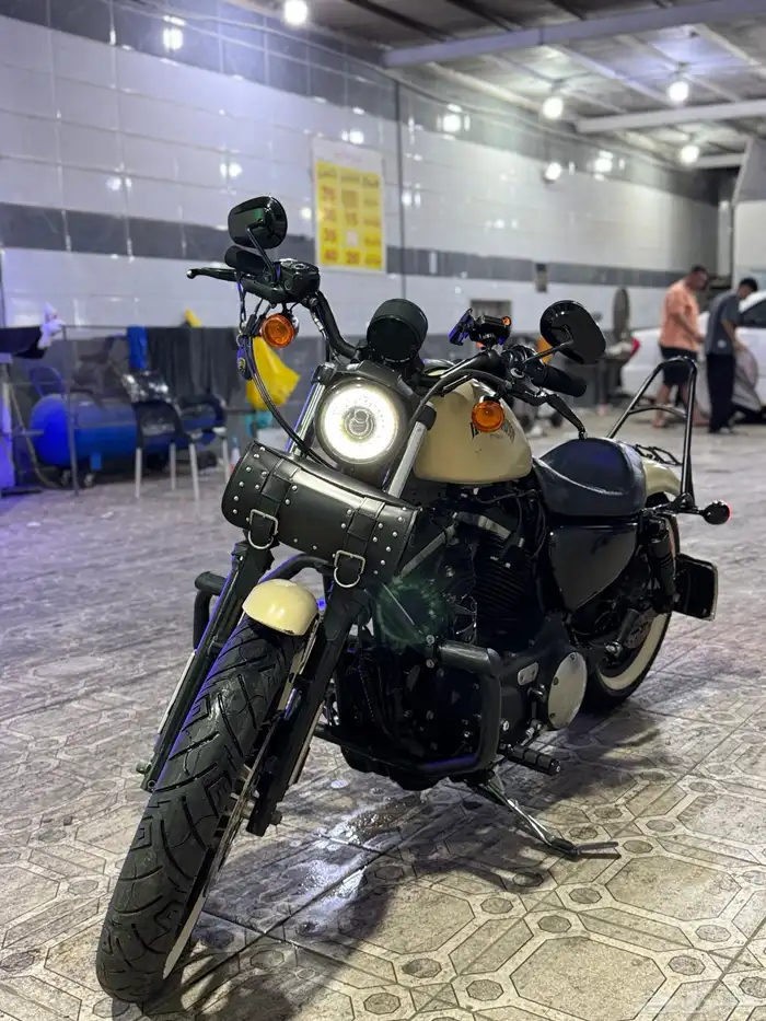 هارلي سبوستر ( تم البيع ) 7