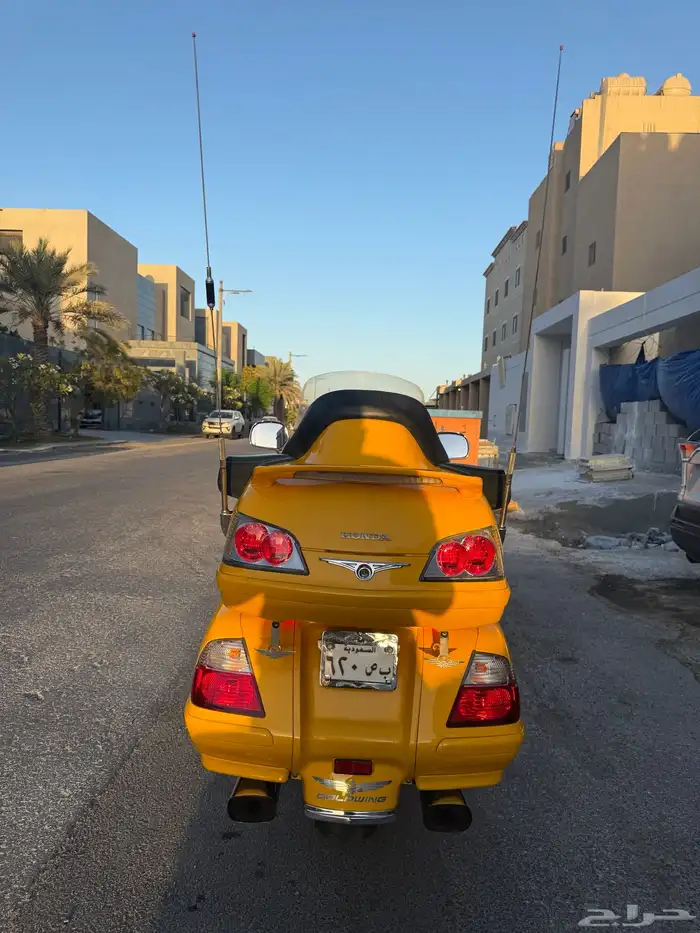 قولد وينق 2010 4