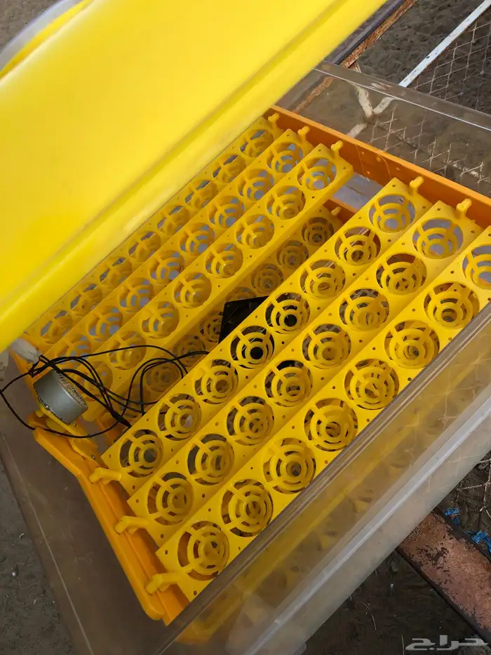 للبيع فقاسه 96 اوتماتيك 0