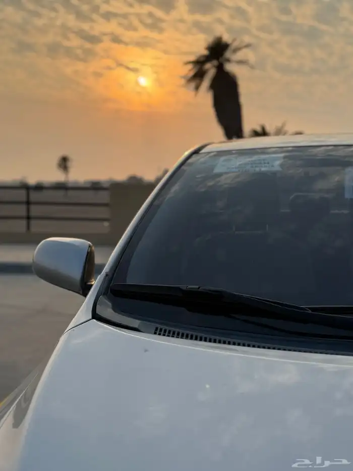 كوريلا 2013 10