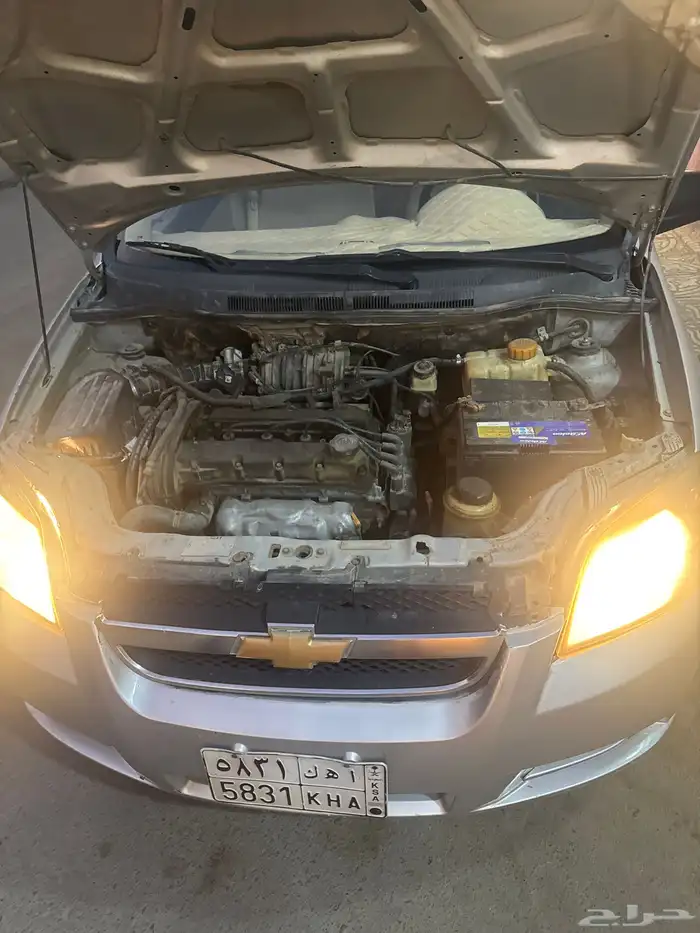 افيو نظيفة ما تشتكي ولا من حاجة الحمد لله 2009 9