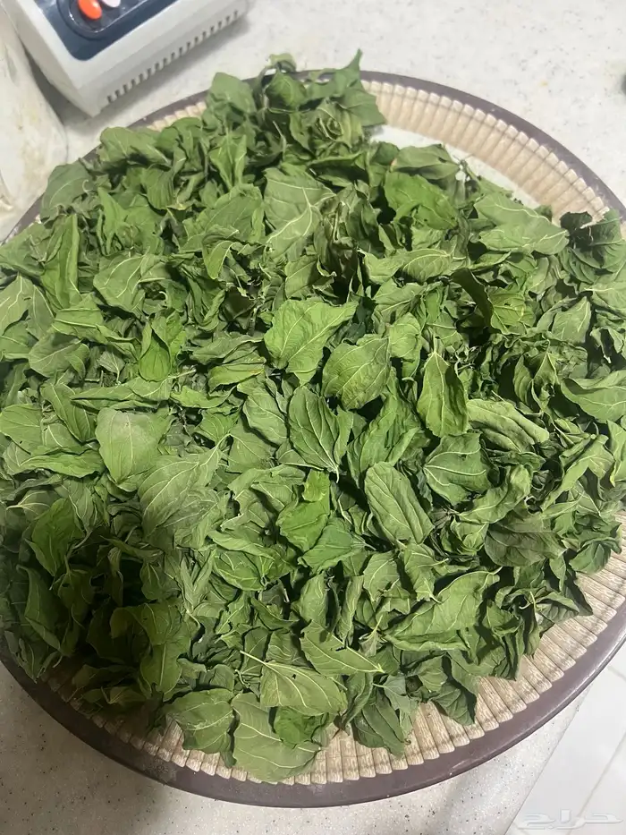 ورق سدر للبيع 5