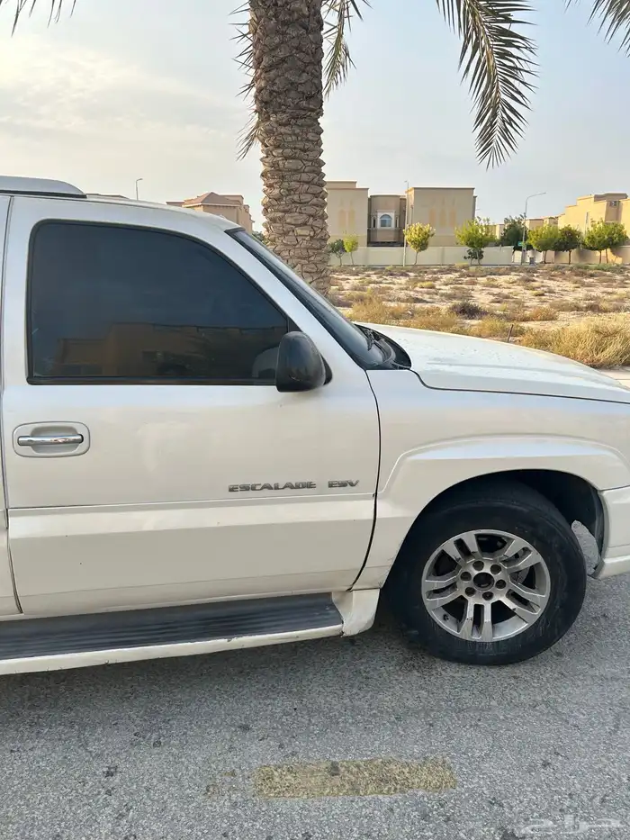 اسكاليد نضيف رش 5 قطع بدون معجون 5