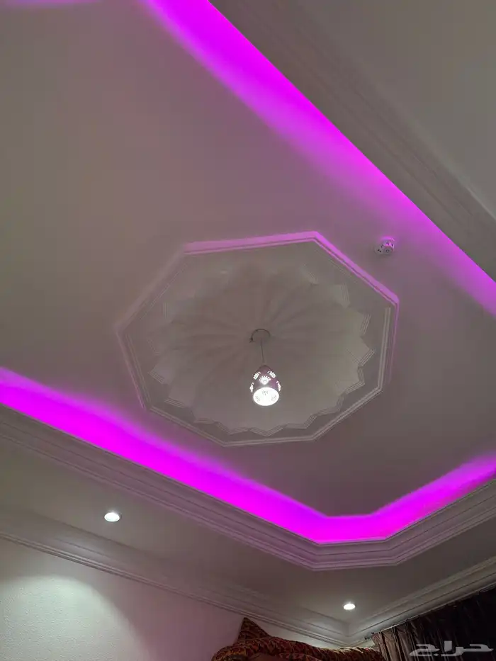 شقه للايجار 0