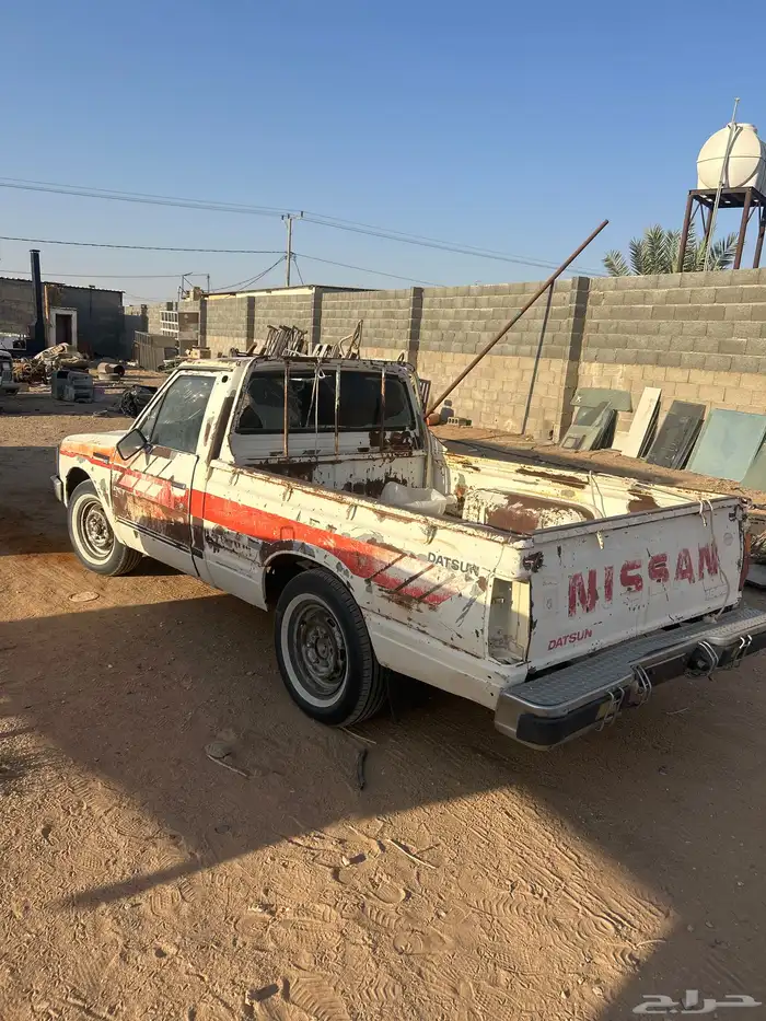 ددسن بدي وكاله متحركات وكاله مشقط 3