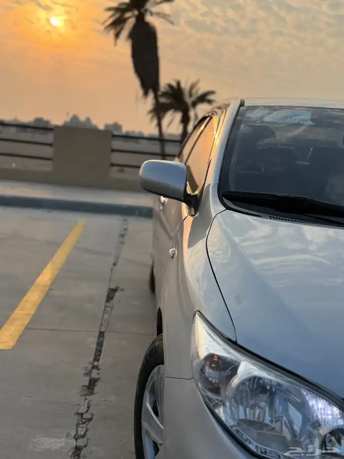 كوريلا 2013 14