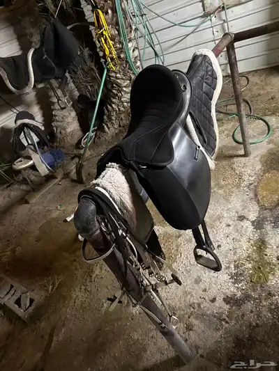 سرج ستيتس index