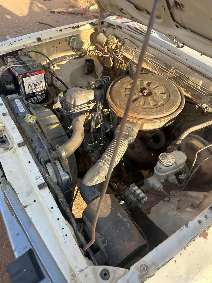 ددسن بدي وكاله متحركات وكاله مشقط 6