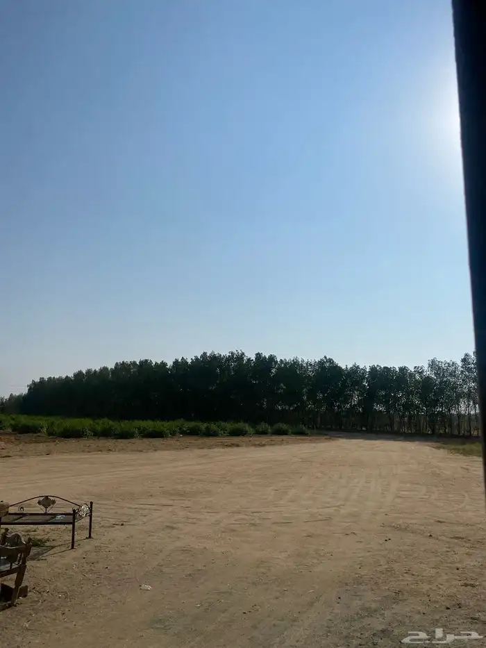 للبيع بزرومي بزروميه 2