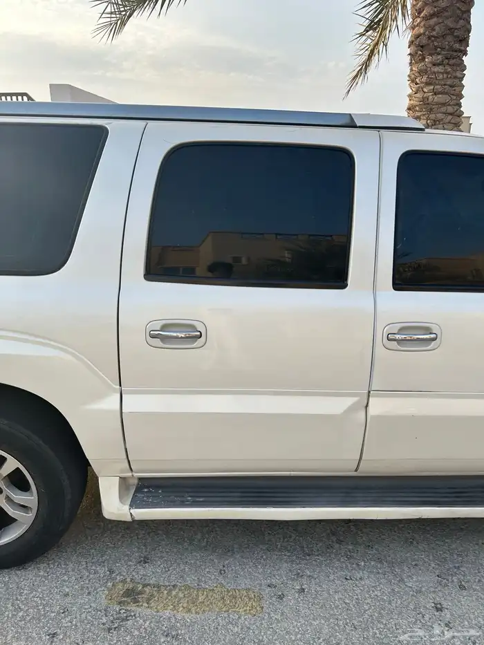 اسكاليد نضيف رش 5 قطع بدون معجون 4