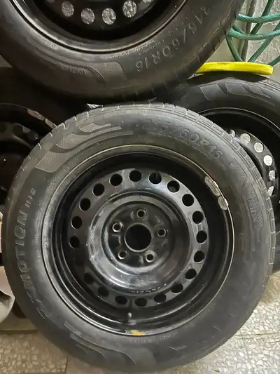 جنوط اكورد index