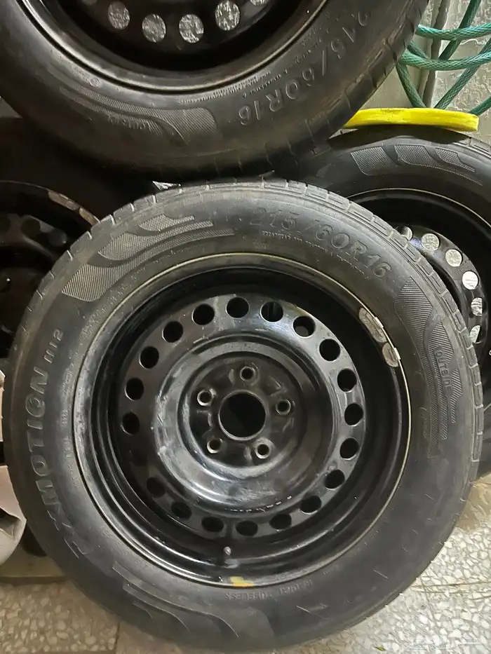 جنوط اكورد 0