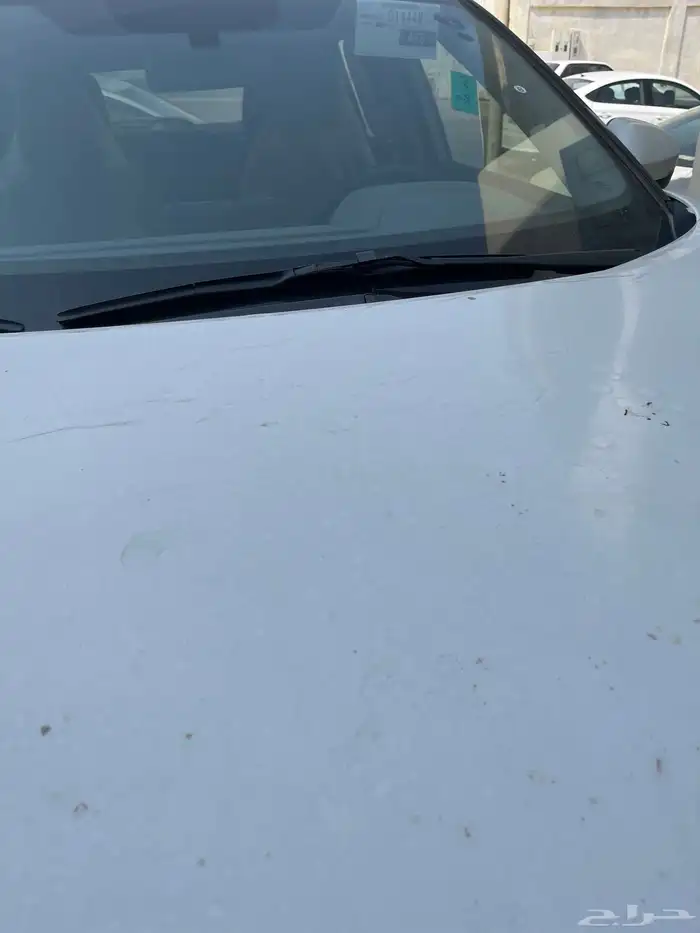 بيع تجاليد وكالة 0