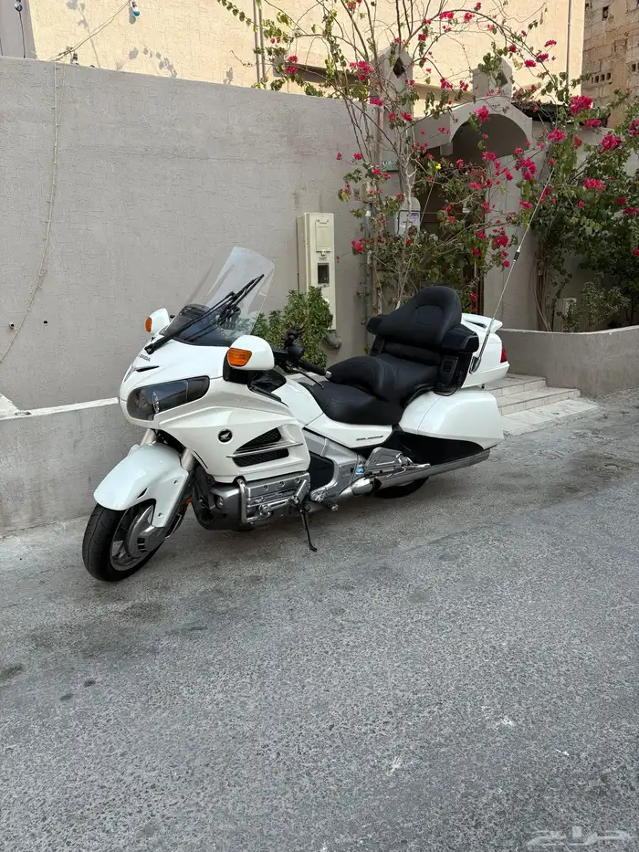 للبيع قولد وينق 1