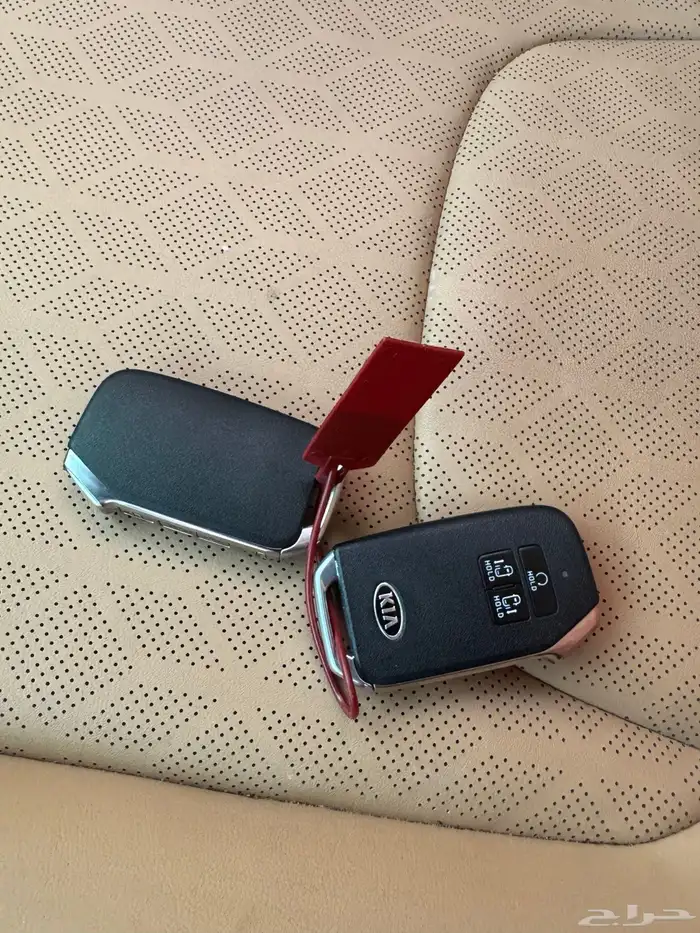 كرنفال 2021 ديزل 49