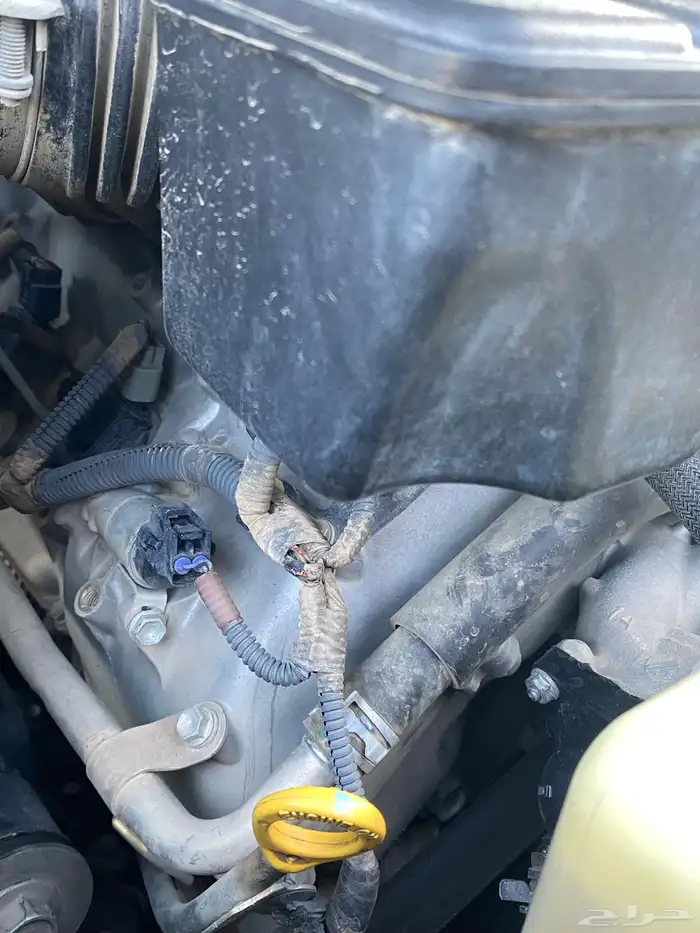 جي اكس GX 2013 8 سرندل 47