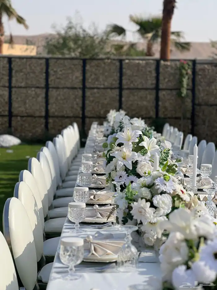 تاجير كراسي طاولات طعام كوش استقبال مدخل 16