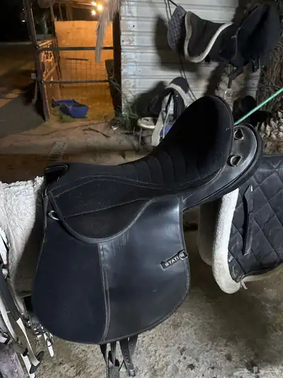 سرج ستيتس index