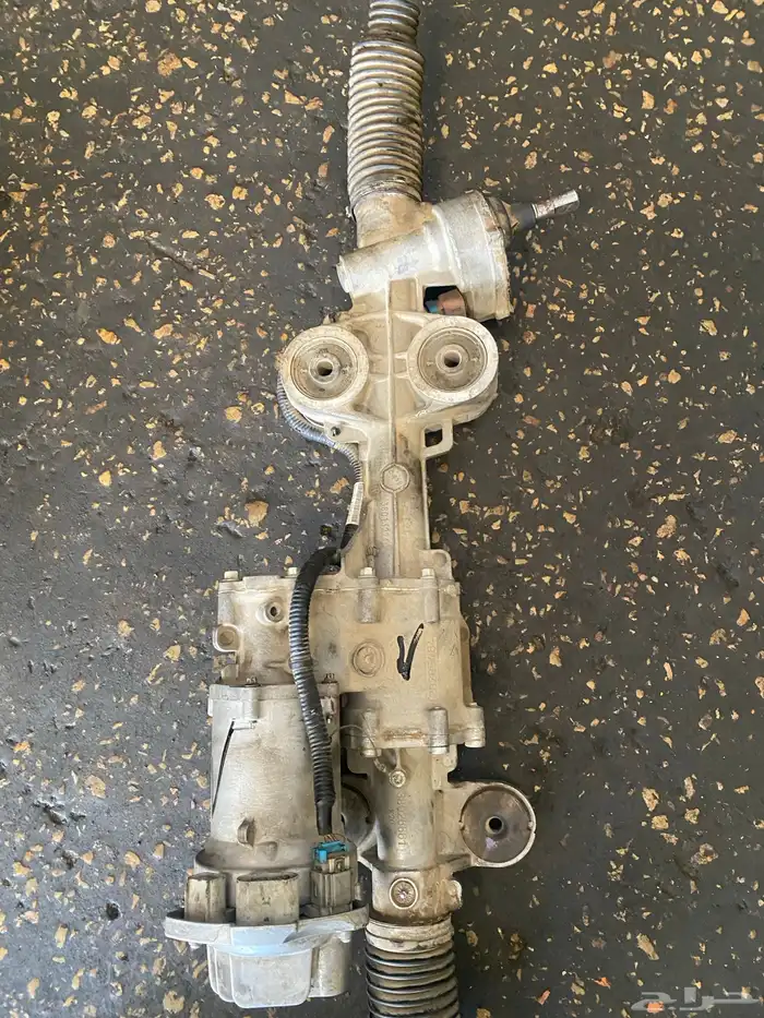 دودة دركسون جمس 8